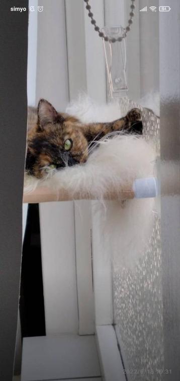 Raambedje kat beschikbaar voor biedingen