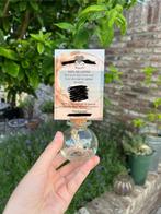 Bruiloft wedding - kaarthouders, Ophalen, Zo goed als nieuw