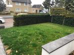 Taxus struik GRATIS, Tuin en Terras, Ophalen of Verzenden, Taxus, Struik, 100 tot 250 cm