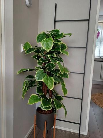 Kunstplant/Boom 110cm - Realistisch & Veelzijdig beschikbaar voor biedingen