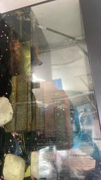 Aquarium, Doe-het-zelf en Verbouw, Glas en Ramen, Ophalen of Verzenden, Zo goed als nieuw, Minder dan 80 cm