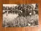 Hoogezand, Oosterpark. Ongelopen., Verzamelen, Ansichtkaarten | Nederland, Ophalen of Verzenden, 1940 tot 1960, Ongelopen, Groningen