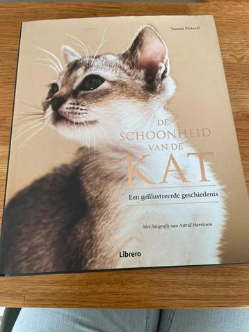 Tamsin Pickeral - De schoonheid van de kat beschikbaar voor biedingen