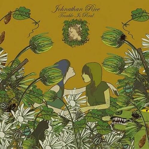 Johnathan Rice, Cd's en Dvd's, Cd's | Overige Cd's, Zo goed als nieuw, Ophalen of Verzenden