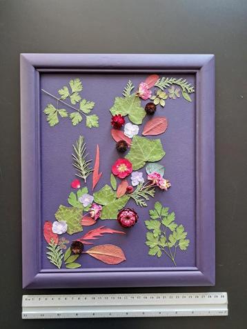 Schilderij met droogbloemen in lijst beschikbaar voor biedingen