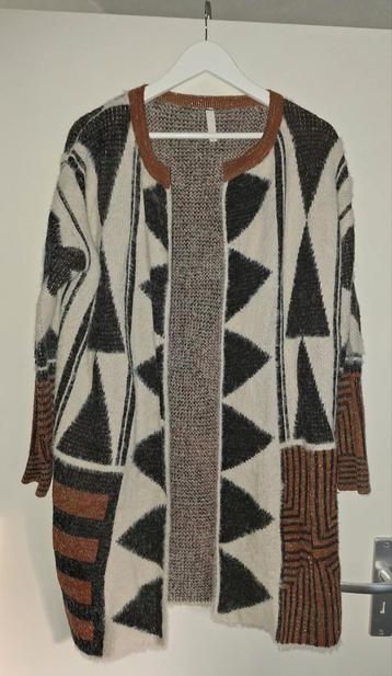 Leuk kleurig vest maat L beschikbaar voor biedingen