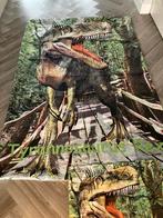 Dekbedovertrek + Kussensloop Tyrannasaurus Rex (dinosaurus), Ophalen of Verzenden, Zo goed als nieuw, Jongetje of Meisje, Dekbedovertrek