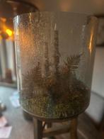 Windlicht bubbel xl moos, Ophalen, Overige materialen, 25 tot 50 cm, Zo goed als nieuw