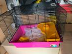 Hamsterkooi muizen kooi, Ophalen, Minder dan 75 cm, Kooi, Minder dan 60 cm