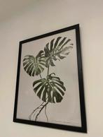 Vegetatieprint met zwarte lijst, Minder dan 50 cm, 50 tot 75 cm, Ophalen of Verzenden, Zo goed als nieuw