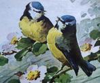 (2) - C.KLEIN - vogels - pimpelmees - appelbloesem, Verzamelen, Verzenden, 1920 tot 1940, Gelopen, Natuur