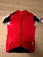 Assos SS13 Shirt - Maat XXL - Zeer Goede Conditie, Ophalen of Verzenden, Gebruikt, Kleding