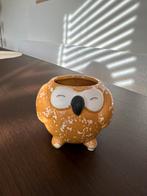 Geel uilen plantenpotje met diameter 5,5cm, Tuin en Terras, Bloempotten, Ophalen, Rond, Zo goed als nieuw, Aardewerk