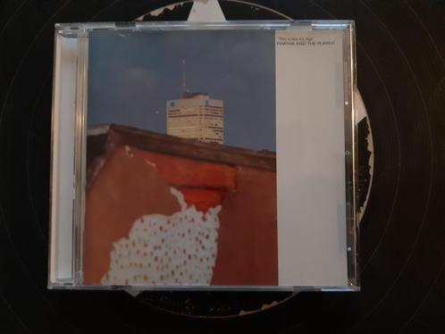 Martha & The Muffins - This Is The Ice Age, Cd's en Dvd's, Cd's | Rock, Gebruikt, Poprock, Ophalen of Verzenden