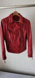 Rood leren jasje, Dekkers, Ophalen of Verzenden, Zo goed als nieuw, Maat 36 (S)