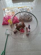 Vissenkom inclusief toebehoren, Ophalen, Zo goed als nieuw, Leeg aquarium