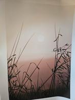 Desenio Posters - 3 afbeeldingen, Ophalen, 50 tot 75 cm, Zo goed als nieuw, Foto of Poster