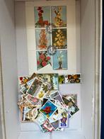 Doos flora en fauna, Verzenden, Buitenland