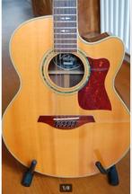 Semi akoustische 12 snarige gitaar (merk Vintage), Ophalen of Verzenden, Zo goed als nieuw, Western- of Steelstringgitaar