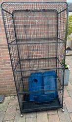 Knaagdieren kooi, Dieren en Toebehoren, Knaagdieren en Konijnen | Hokken en Kooien, Ophalen, Kooi, Gebruikt, 90 cm of meer