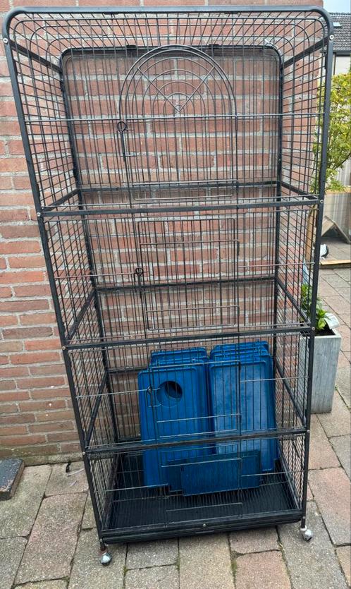 Knaagdieren kooi, Dieren en Toebehoren, Knaagdieren en Konijnen | Hokken en Kooien, Gebruikt, Kooi, 90 cm of meer, 75 tot 110 cm