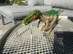 Jurassic world baryonyx, Ophalen, Zo goed als nieuw