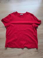 Zara T-shirt - Maat XL, Zara, Maat 46/48 (XL) of groter, Ophalen of Verzenden, Korte mouw