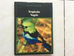 Tropische Vogels, Ophalen of Verzenden, Zo goed als nieuw, Vogels
