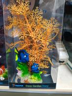 Dory, Ophalen of Verzenden, Nieuw, Plant(en), Steen of Hout
