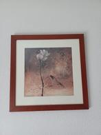 Schilderij Roos met lijst, Antiek en Kunst, Kunst | Schilderijen | Klassiek, Ophalen