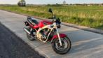 Suzuki GS500E, 2 cilinders, 487 cc, Particulier, 12 t/m 35 kW