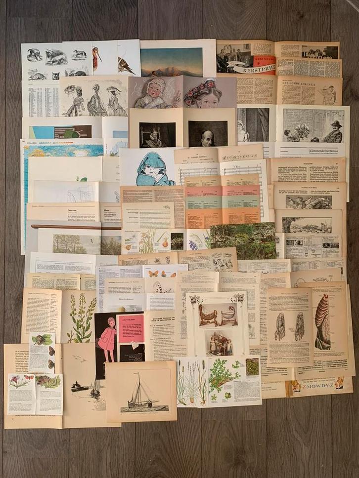 Scrapbookpakket 100 pag (illustraties, botanisch, tekst), Hobby en Vrije tijd, Scrapbooking, Gebruikt, Papier of Karton, Overige merken