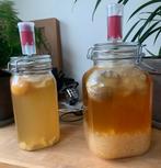 Biologische water kefir korrels af te halen., Diversen, Levensmiddelen, Ophalen of Verzenden