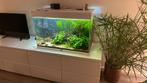Mooi aquarium te koop: Ciano Emotions Pro 80, Zo goed als nieuw, Ophalen, Leeg aquarium