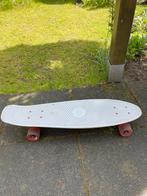 Penny board groot, Skateboard, Ophalen of Verzenden, Zo goed als nieuw