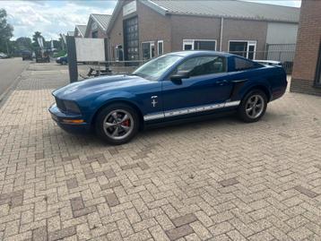 Ford Mustang 2006 beschikbaar voor biedingen