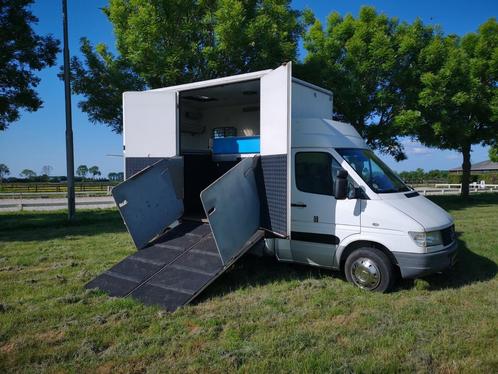 Paardenwagen Mercedes Sprinter, Auto's, Vrachtwagens, Particulier, Ophalen