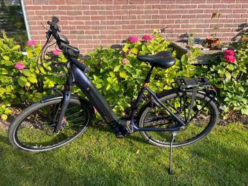 Koga nova evo pt beschikbaar voor biedingen