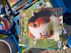 Cavia's, Ophalen, Gelezen, Konijnen of Knaagdieren