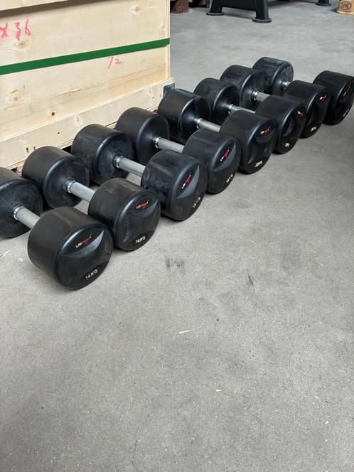 OPRUIMING! LifeMaxx Dumbbells, Sport en Fitness, Fitnessmaterialen, Gebruikt, Dumbbell, Ophalen of Verzenden