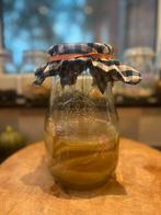 Kombucha Scoby BIO, Ophalen