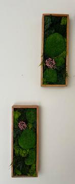 Handmade Moss Art Set – Natural Wall Decoration (2 pieces), Ophalen of Verzenden, Nieuw