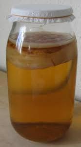 Biologische kombucha scoop inclusief start kweekvloeistof beschikbaar voor biedingen