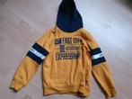 Sweater trui WE, Ophalen of Verzenden, Gebruikt, Jongen, Trui of Vest