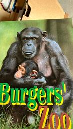 Burgers’ Zoo, Ophalen of Verzenden, Zo goed als nieuw, Nederland