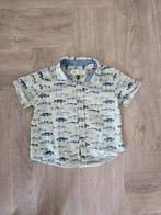 Zara blouse vissen maat 86, Ophalen of Verzenden, Gebruikt, Jongetje, Overhemdje of Bloesje