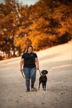 Duitse staande korthaar pups met gratis opvoedingsadvies ☆, Dieren en Toebehoren, Honden | Setters en Staande honden, Duitse Staande hond