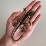 Hagedis Brons, Ophalen of Verzenden