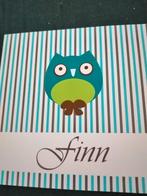 Finn, Ophalen of Verzenden, 2000 tot heden