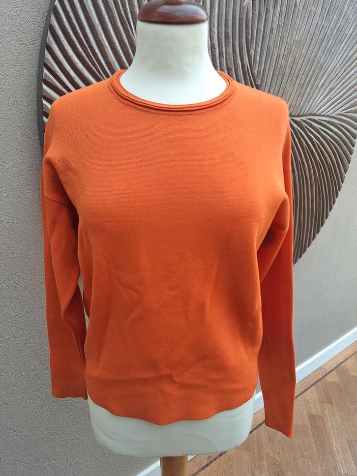 Zgan, prachtige sweater Karen Millen, S, Kleding | Dames, Tops, Zo goed als nieuw, Maat 36 (S), Oranje, Lange mouw, Ophalen of Verzenden